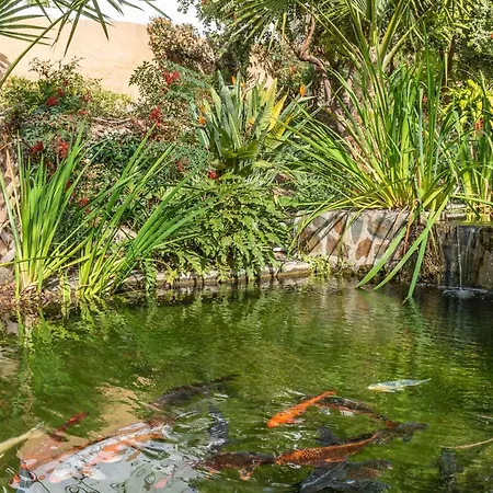 Apartment Rabat 8 Oasis